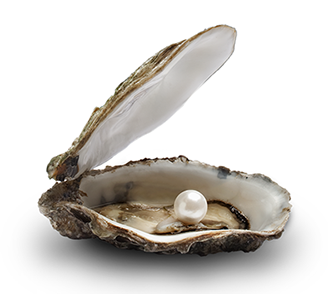 mussla, pärla, stilleben, produktfoto